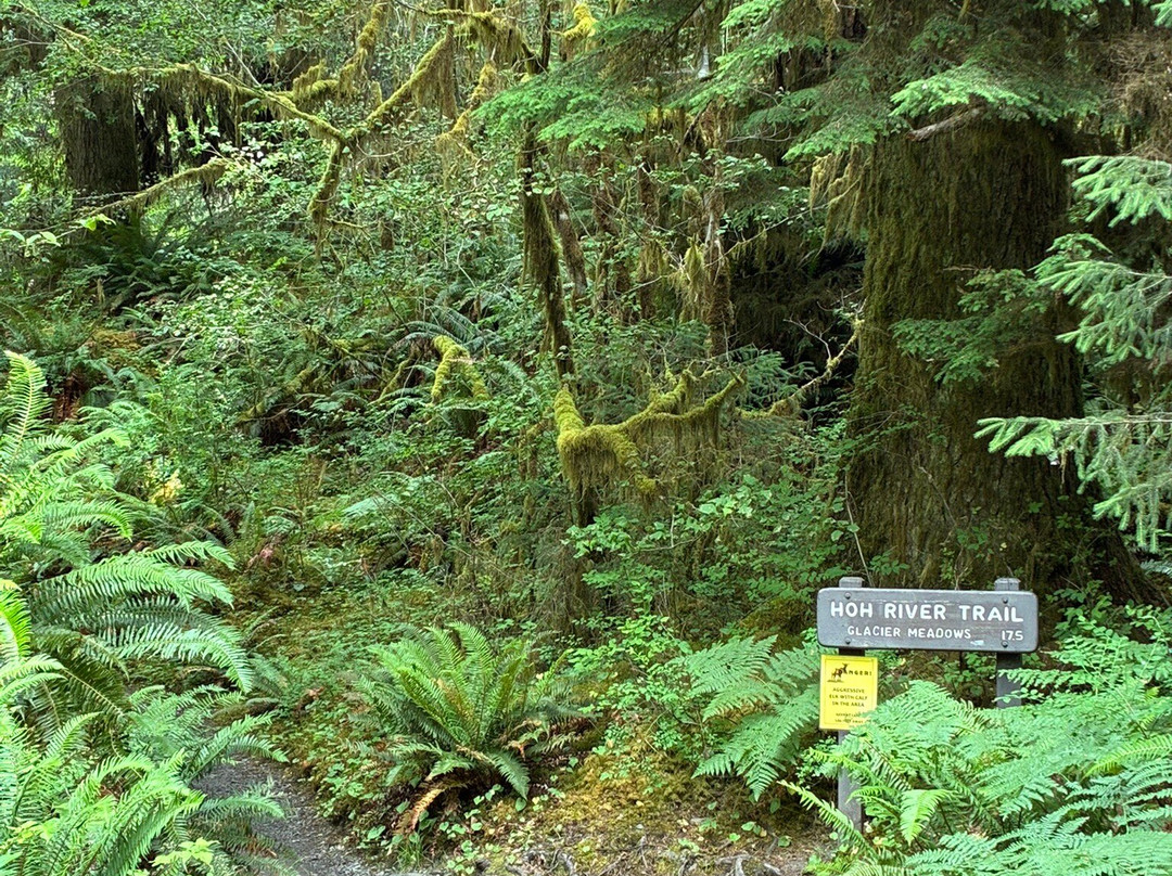 赫温带雨林-奥林匹克国家公园必去景点