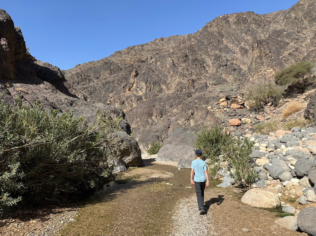 Jordan Trail Adventures-Dana必去景点