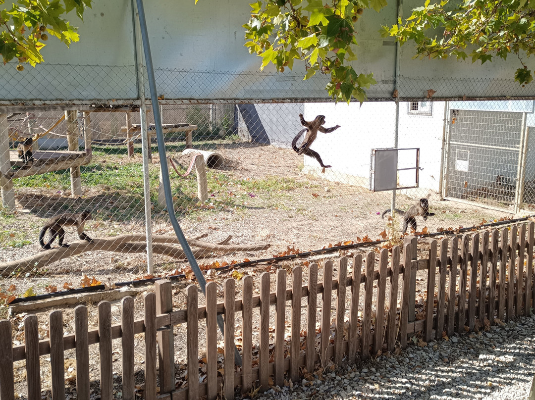 Centro De Rescate Y Recuperación De Primates Rainfer-Fuente El Saz De Jarama必去景点