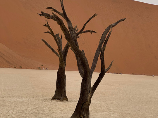 Gazechase Travels-温德和克必去景点