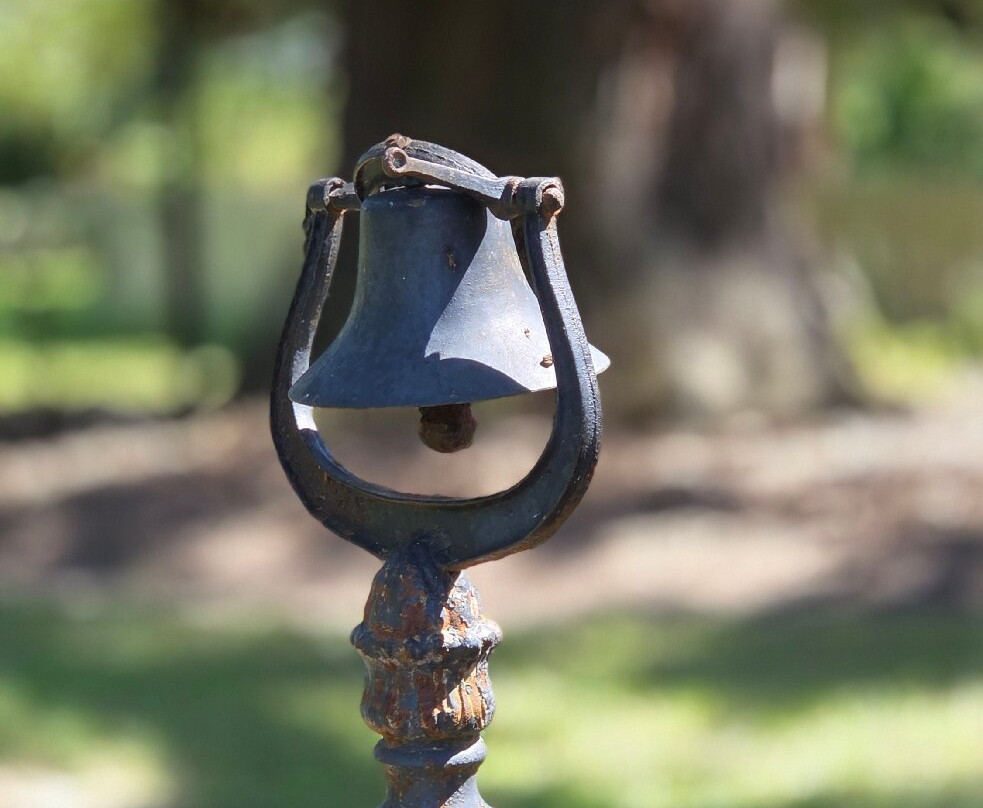 Tours by Isabelle-新奥尔良必去景点