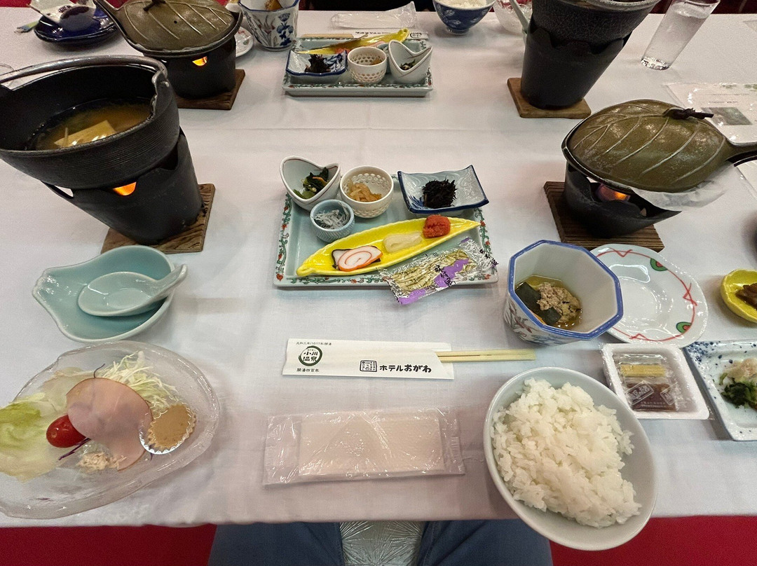 Hotel Ogawa Day-use spa-朝日町必去景点