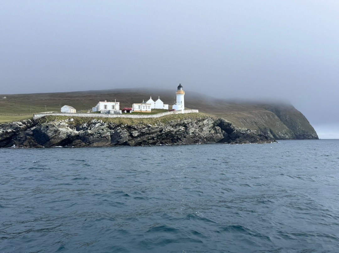 Seabirds and Seals - The Original Noss Boat Tours-Lerwick必去景点