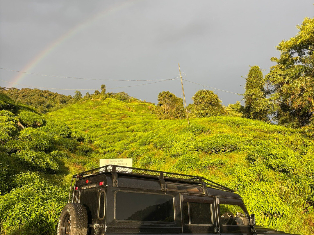 Discover Camerons-丹那拉塔必去景点