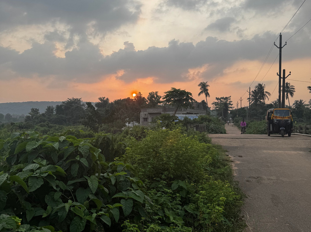 Svanir Wilderness Ecostay主图