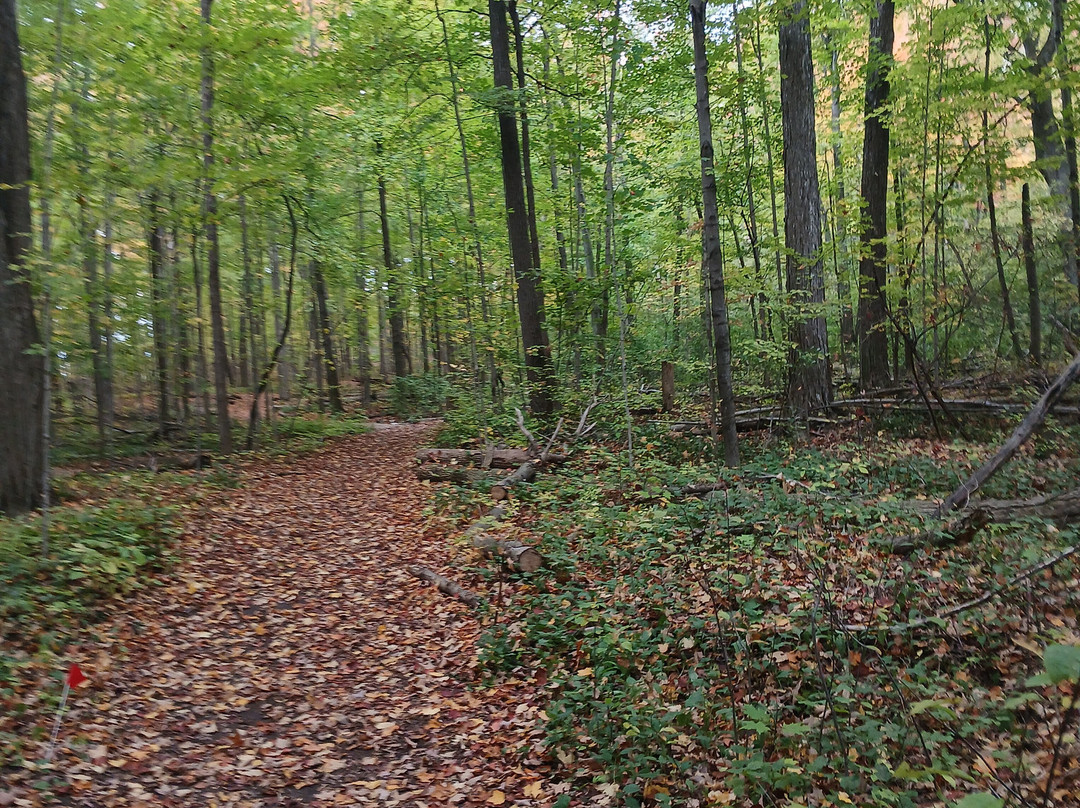 University of Guelph Arboretum-贵湖必去景点