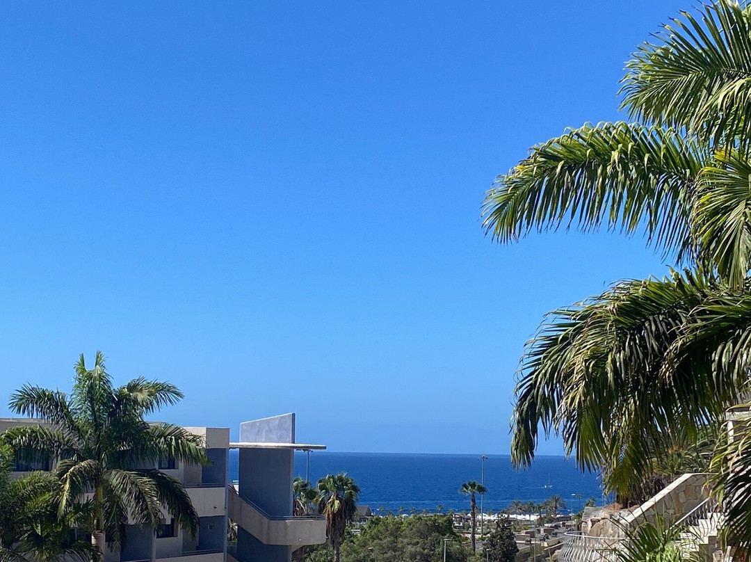 Hotel Terraza Amadores主图