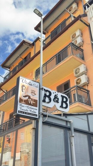 Viola B&B-官方