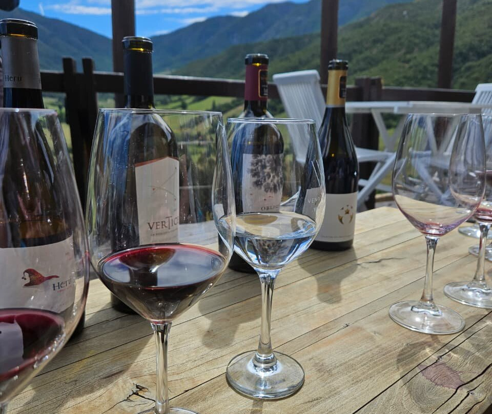 Colchagua Wine Tours-圣克鲁斯必去景点