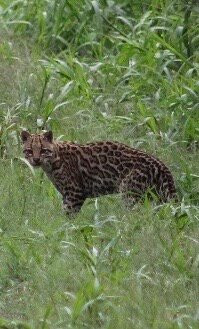 Nick's Adventures Bolivia-圣克鲁斯省必去景点