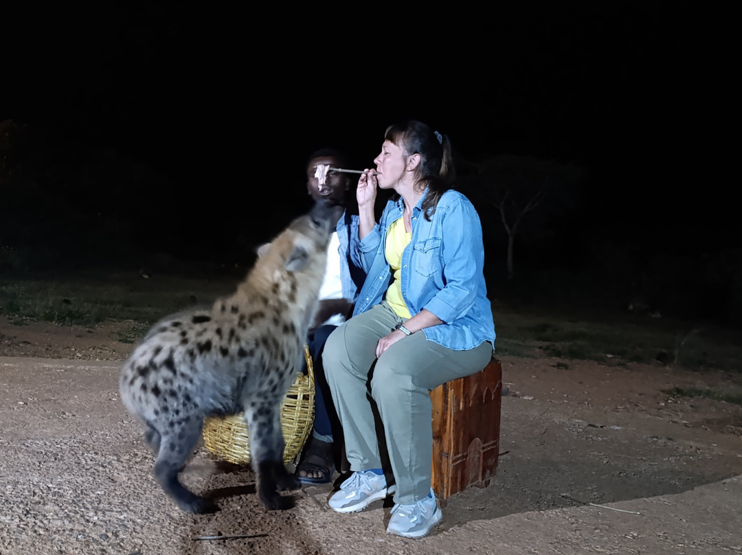 Edom Harar Tours & Car Rentals-哈勒尔必去景点