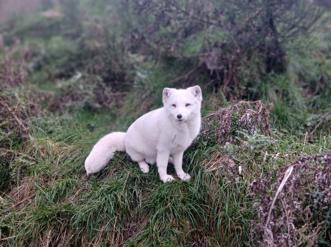 Wild Ireland-Burnfoot必去景点