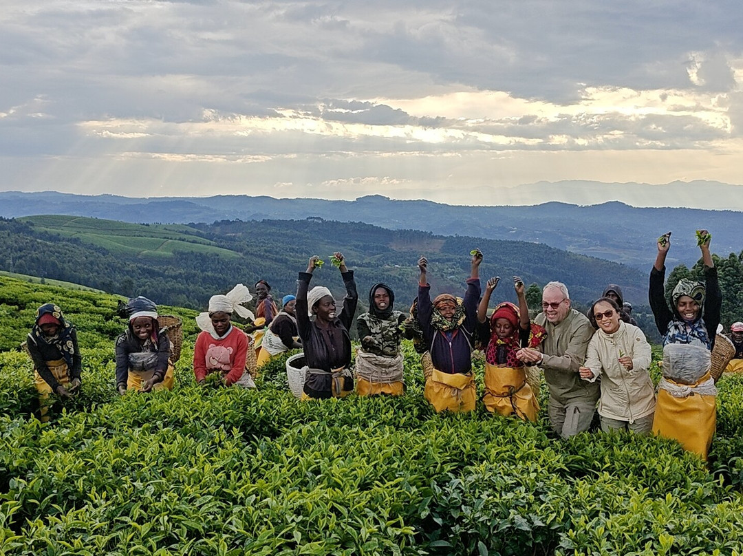 Evergreen Escape Expeditions - Africa-南由基必去景点