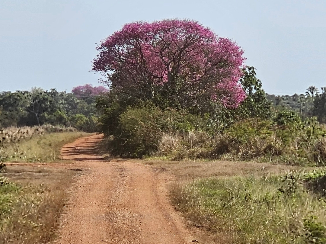 Fazenda San Francisco-米兰达必去景点