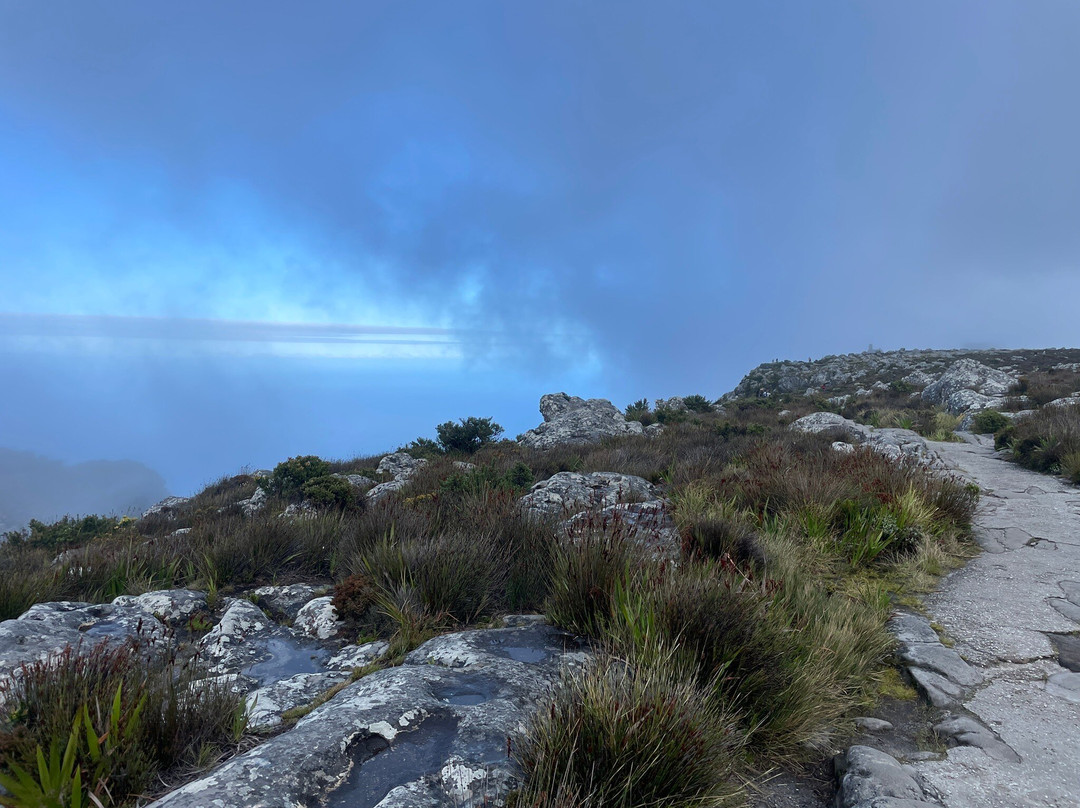 Platteklip Gorge-桌山国家公园必去景点