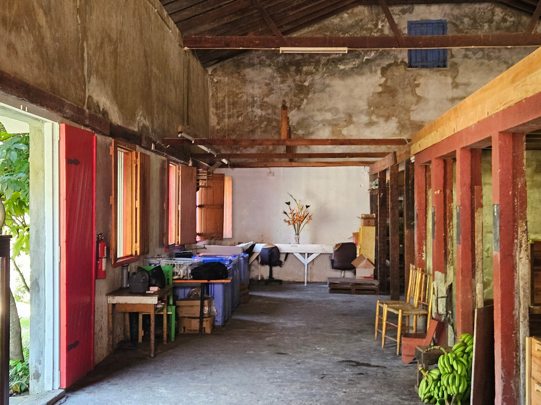 Belmont Estate Grenada-Belmont必去景点