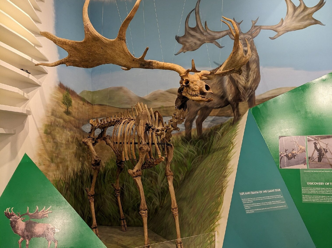 Manx Museum-Douglas必去景点