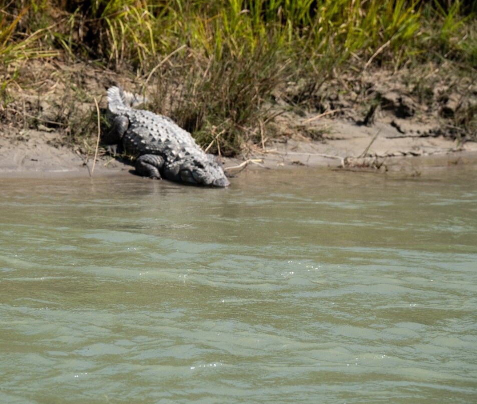 Bardia Homestay主图