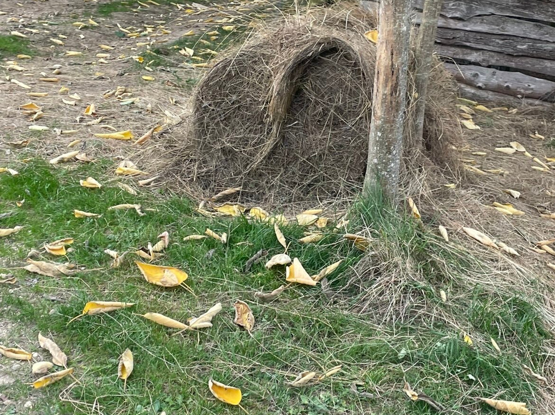 Parc du Touron-Campsegret必去景点