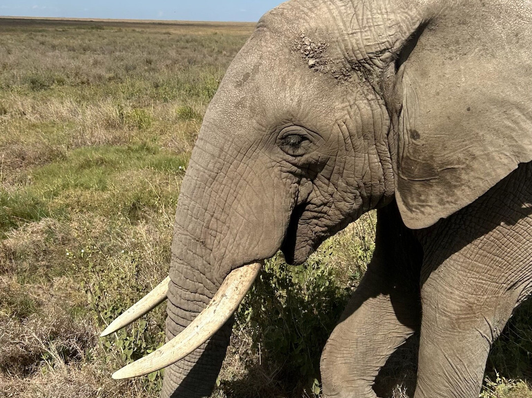 Tanzania-Experience-阿鲁沙必去景点