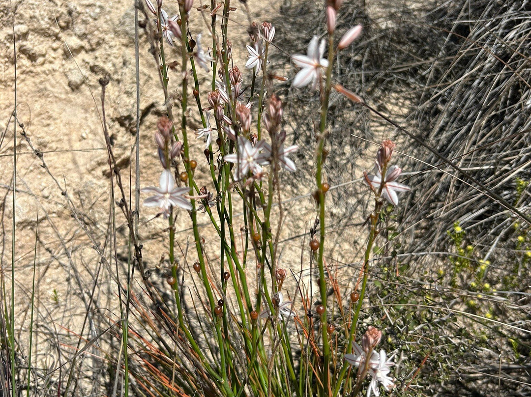 Lake King Nature Reserve-Lake King必去景点
