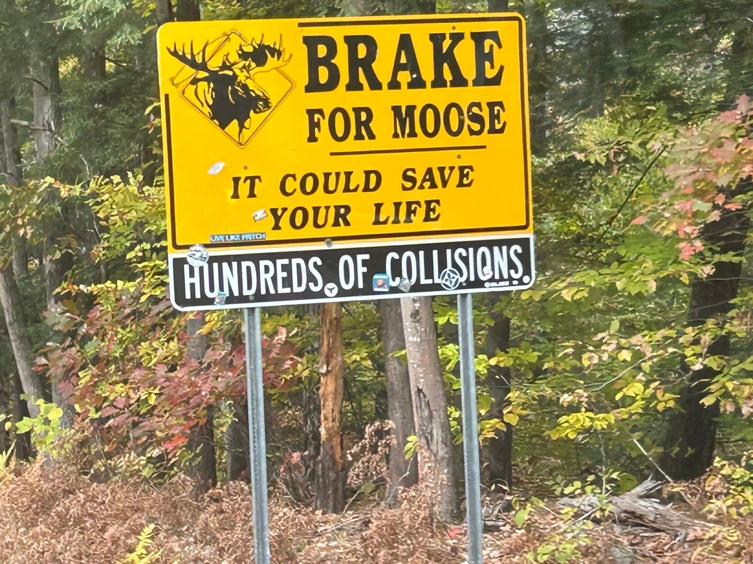 Timi's Tours-Moweaqua必去景点