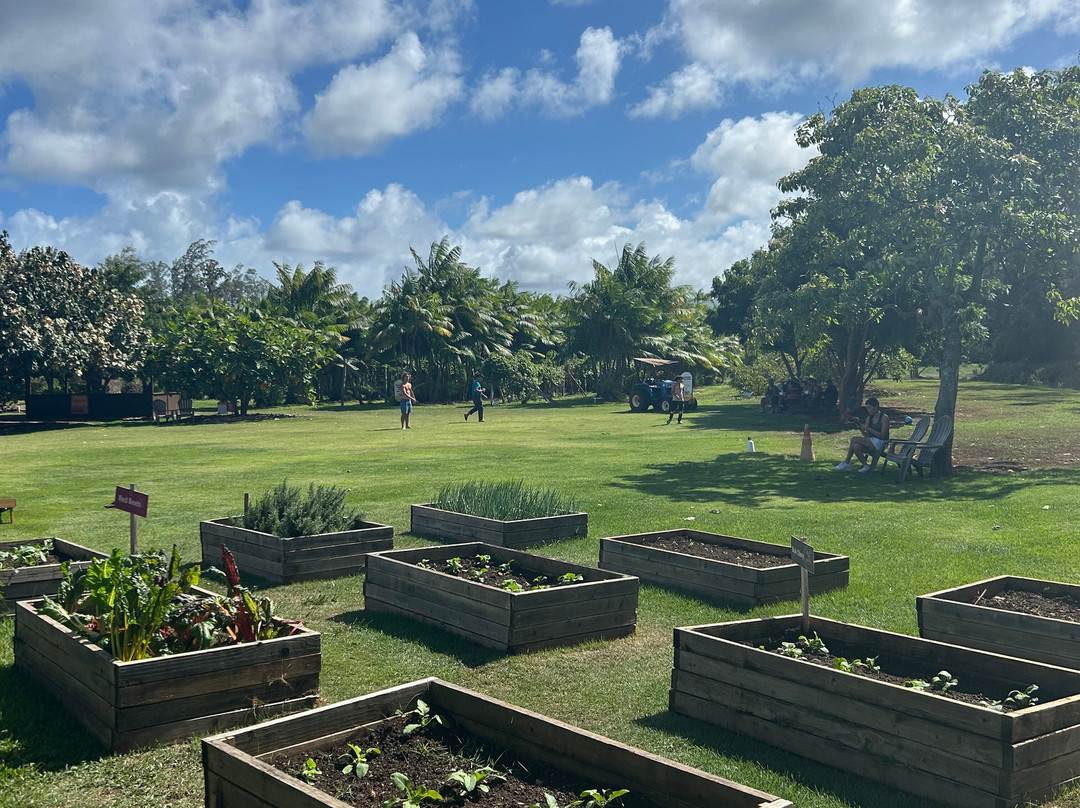 Kahuku Farms-卡胡库必去景点
