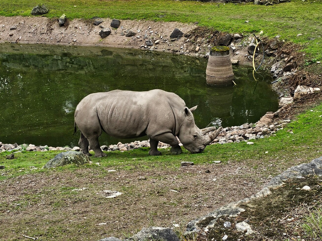 Kolmården Zoo-Kolmarden必去景点