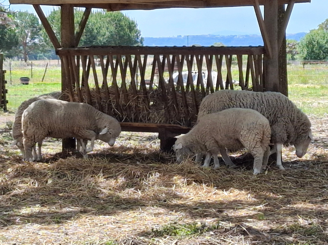 Reserva Natural do Cavalo do Sorraia-Alpiarca必去景点