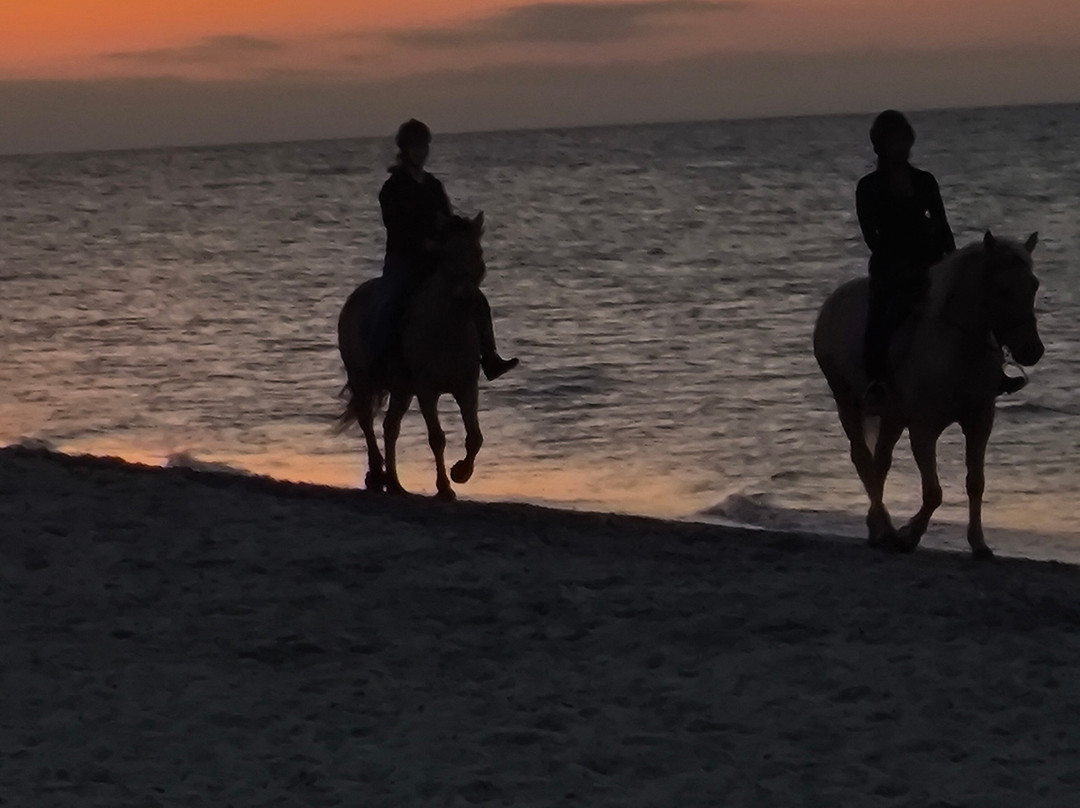 Erika's Horse Farm Kos-Marmari必去景点