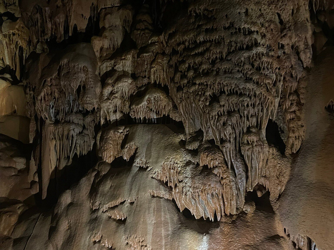 Grotte de Clamouse-Saint-Jean-de-Fos必去景点