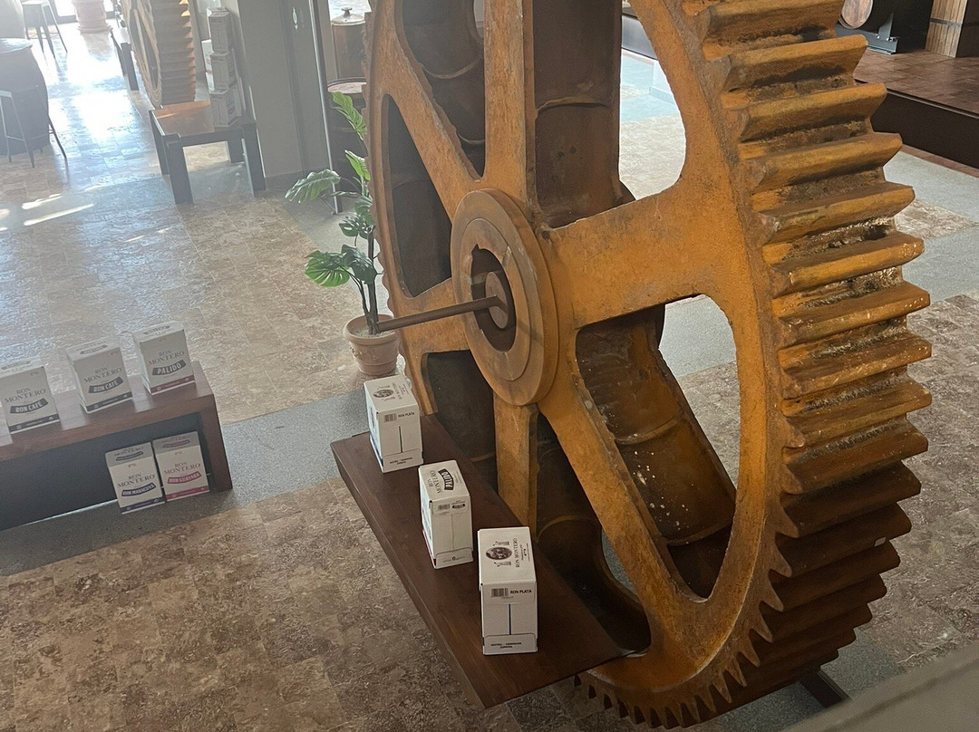 Ron Montero-莫特里尔必去景点