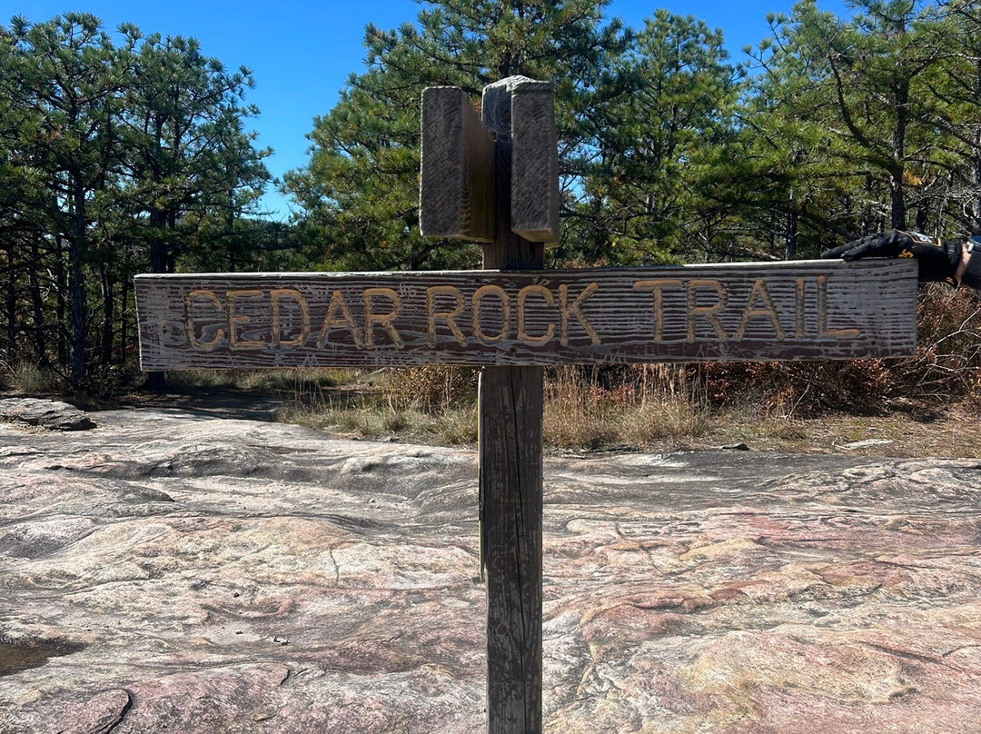 The Bike Farm-Pisgah Forest必去景点