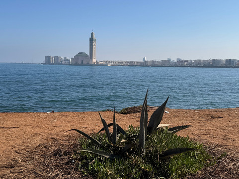 Morocco Odyssey-瓦尔扎扎特必去景点