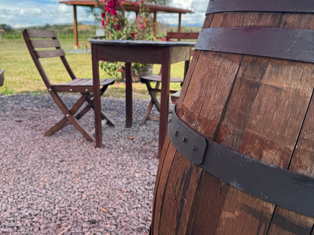 Vinedo Umana Dajud-莱瓦镇必去景点