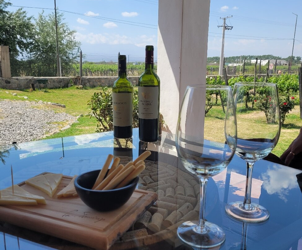 Bodega Domingo Hermanos-卡法亚特必去景点