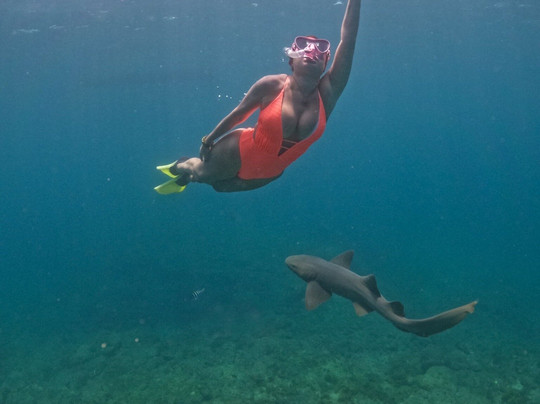 INFO Passeios Noronha-费尔南多-迪诺罗尼亚群岛必去景点