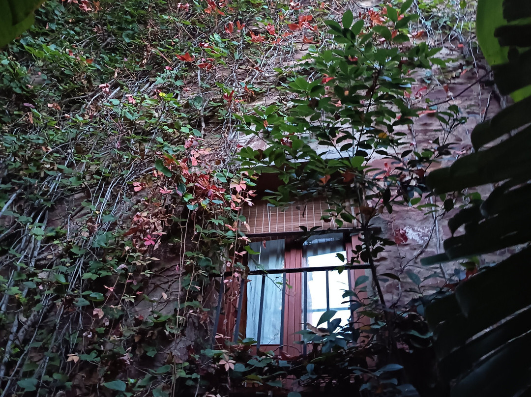 Hotel El Jardin Vertical主图