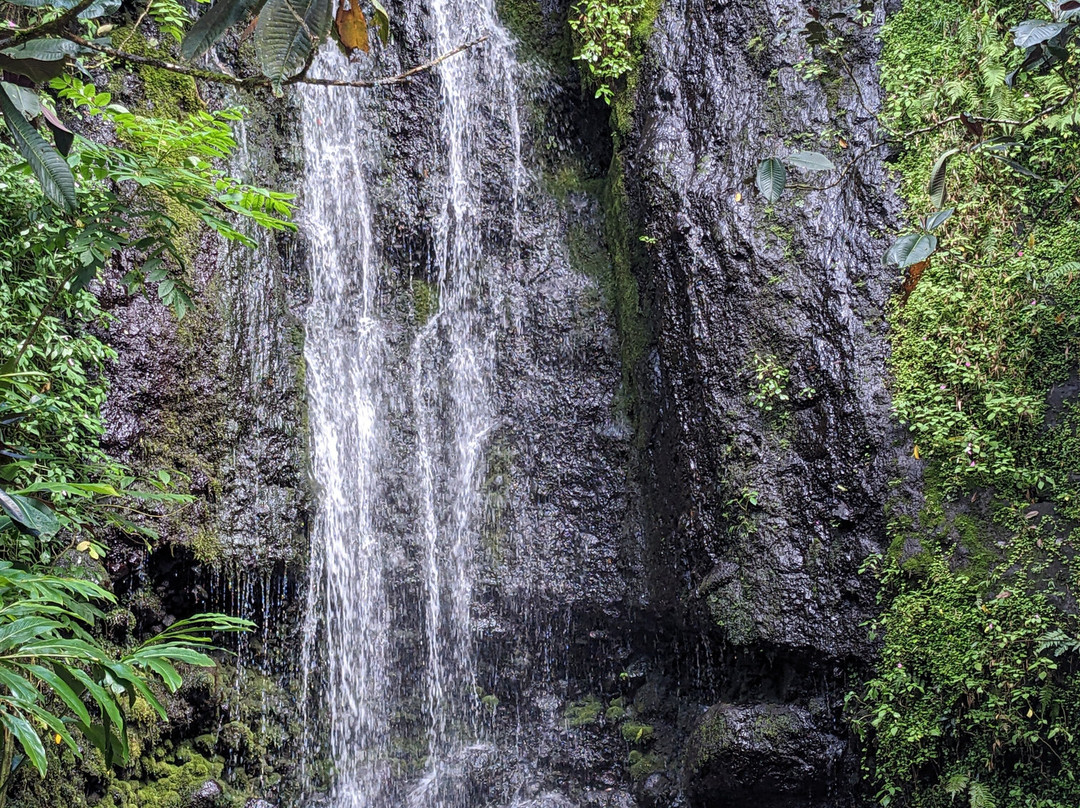 Vallée de la Papenoo-大溪地必去景点