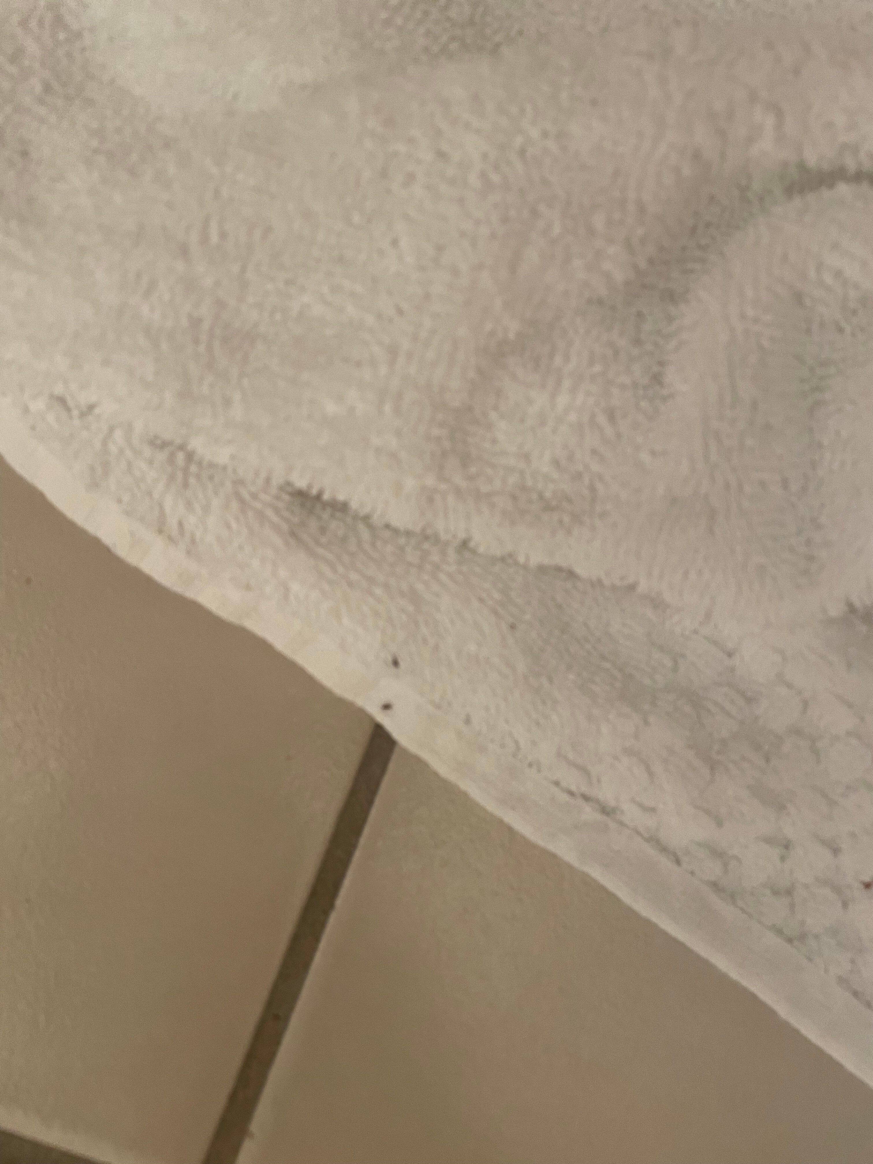 Radisson Hotel Louisville North-官方