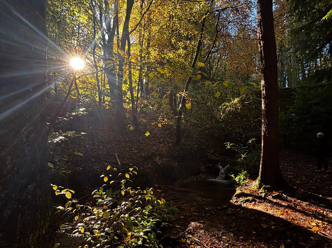 Maspie Den-Falkland必去景点