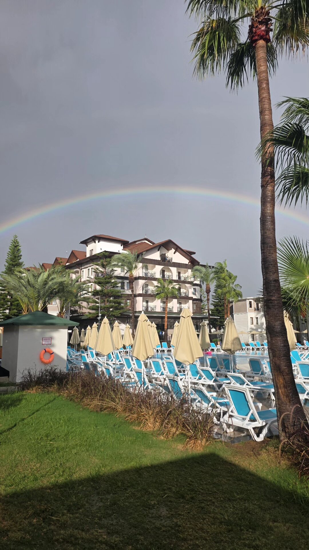 Selectum Colours Side-官方