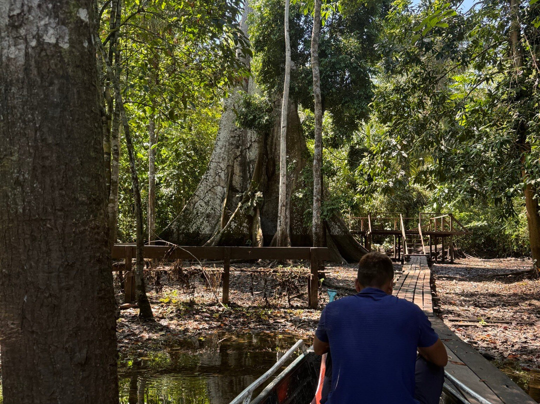 Amaselva Tours - Colombia Amazon-Puerto Narino必去景点