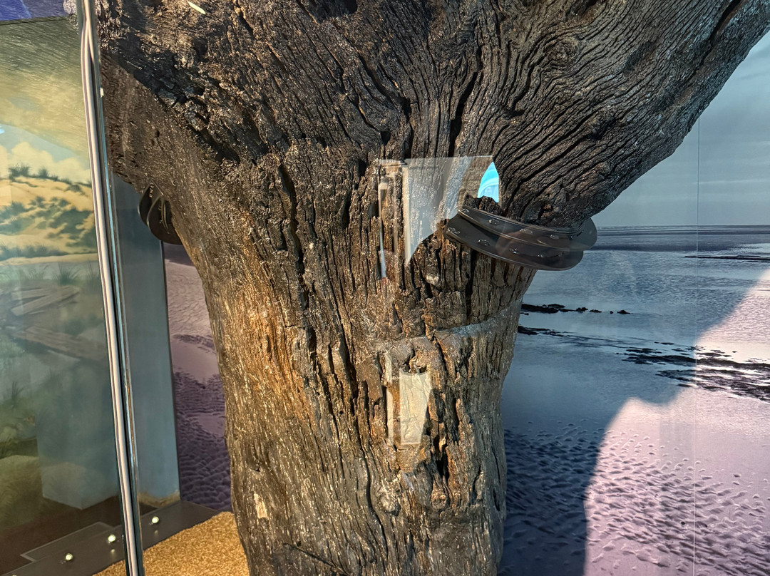 Lynn Museum-金斯林必去景点