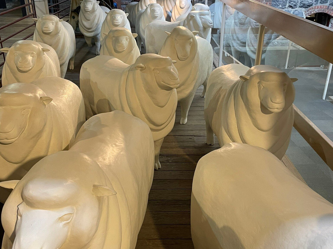 National Wool Museum-季隆必去景点
