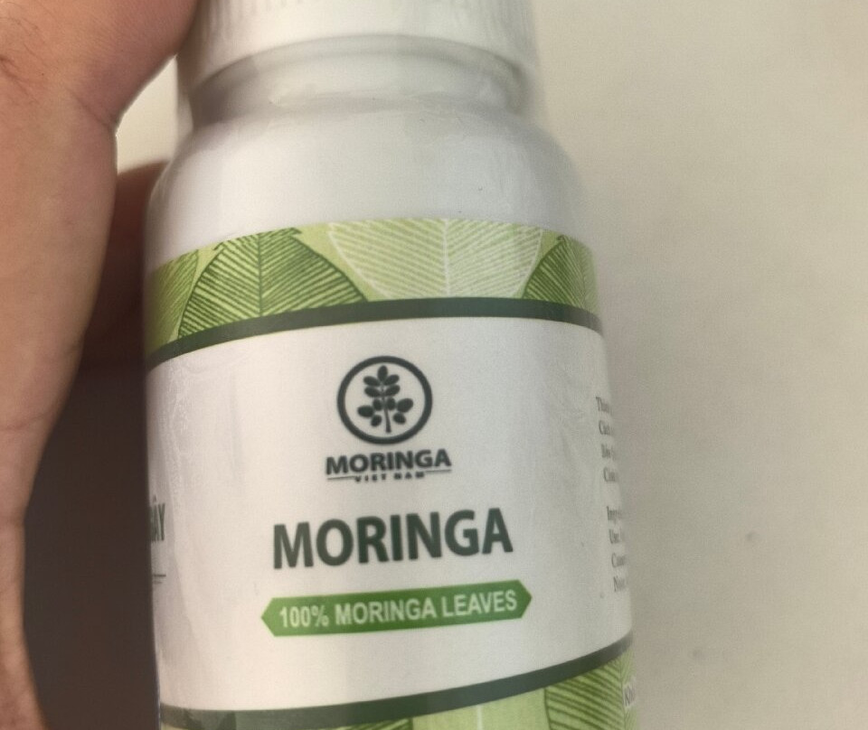 Nha Trang Snake Show-芽庄必去景点