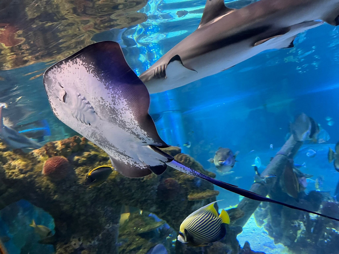 Hastings Aquarium-海斯廷斯必去景点