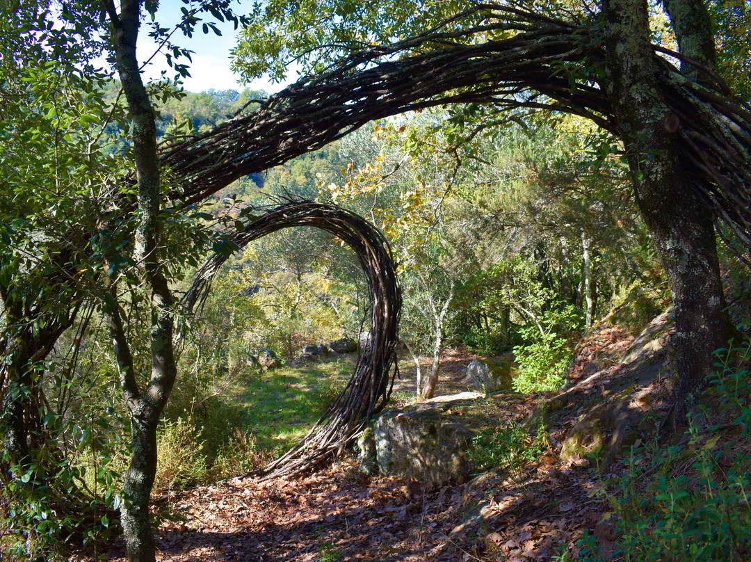 Opera Bosco - Museo di Arte nella Natura-Calcata必去景点