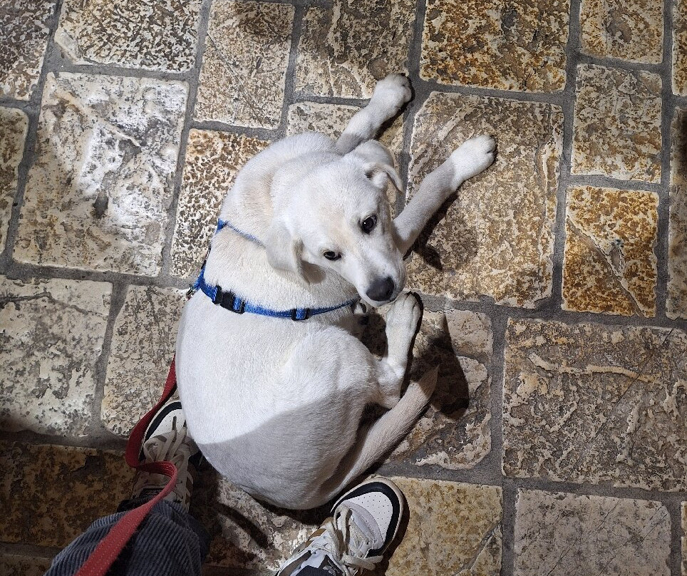 Le Cantorie-Gussago必去景点