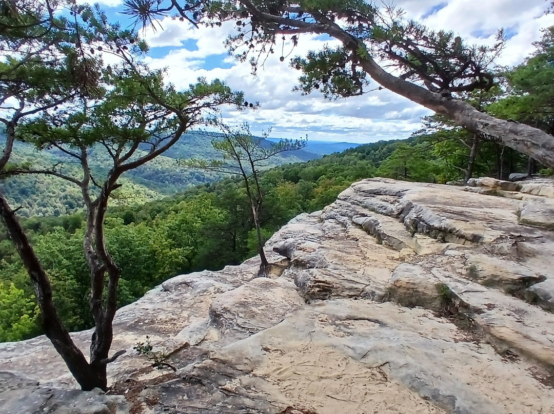 Bee Rock Overlook-蒙特利必去景点